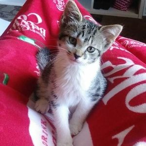 Meet your Posher, Valerie